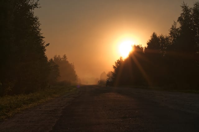 Silent morning