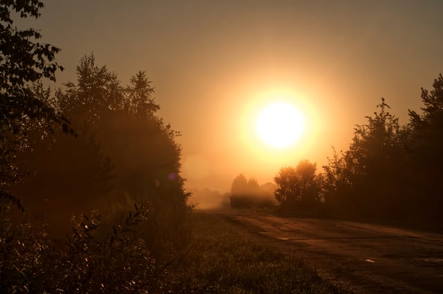 Countryside morning road